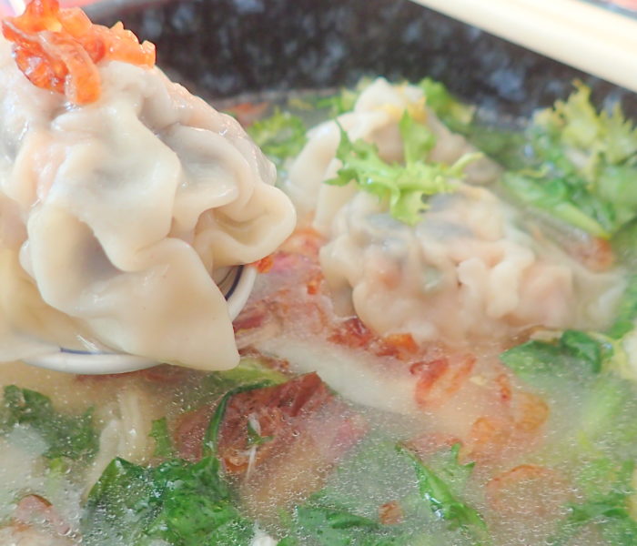 Chinese Dumpling Soup (Sui Kow) 水餃
